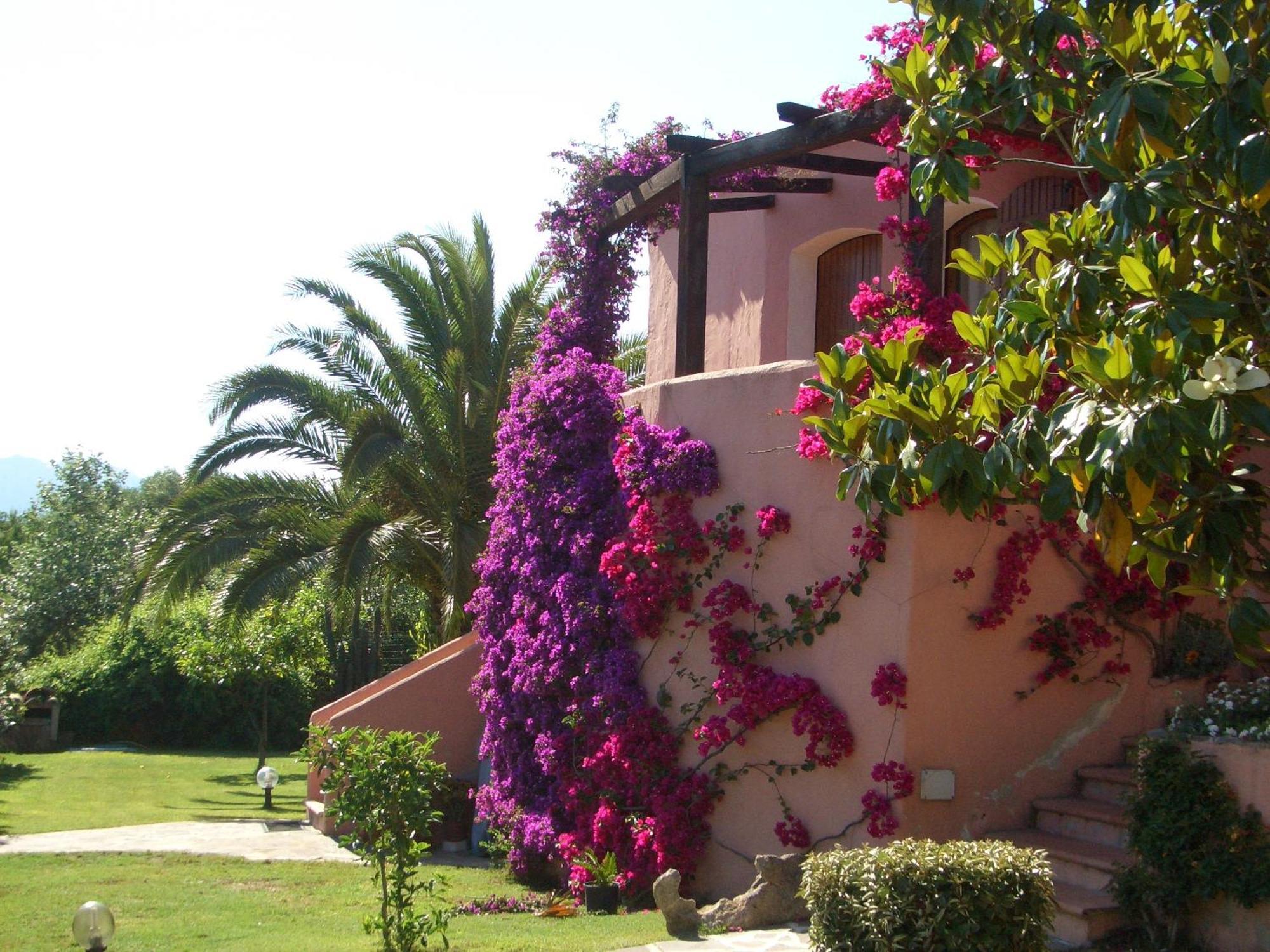 Bed & Breakfast Dessole Όλμπια Εξωτερικό φωτογραφία